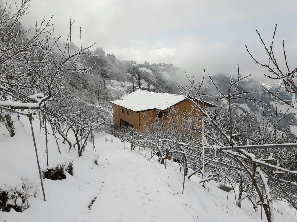 The Fairy Land - Lala Mountain Apartment Fuxing  Exterior photo